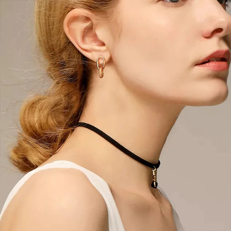 Double Link Hoop Earrings for Women, Stainles Steel Dangle Drop Hoops, Interlocked Circle Stud Earrings, Wholesale Jewelry